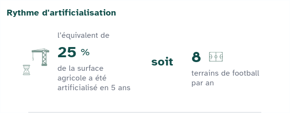 artificilasation 34430